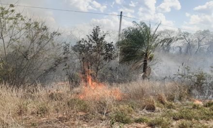 GOBERNACIÓN REPORTA SOLO TRES INCENDIOS ACTIVOS EN SANTA CRUZ