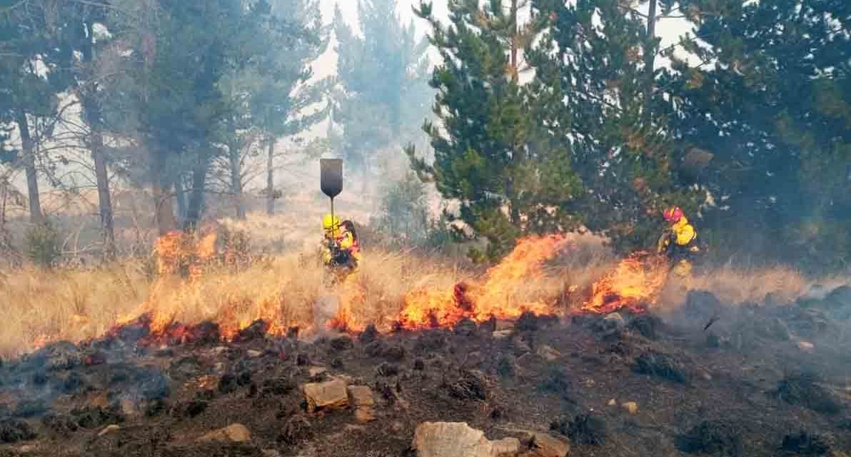 SANTA CRUZ ENFRENTA SIETE INCENDIOS ACTIVOS Y 247 FOCOS DE CALOR