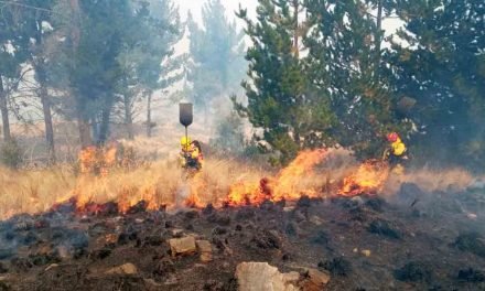 SANTA CRUZ ENFRENTA SIETE INCENDIOS ACTIVOS Y 247 FOCOS DE CALOR