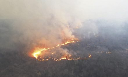 INCENDIO EN CONCEPCIÓN SE REGISTRA CERCA DE PISTA CLANDESTINA EN ZONA INACCESIBLE