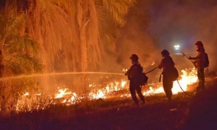 JUSTICIA EXIGE ACCIÓN INMEDIATA DEL GOBIERNO PARA CONTROLAR INCENDIOS