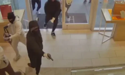 20 ENCAPUCHADOS ROBAN JOYERÍA MILLONARIA EN EE.UU.