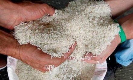 GOBIERNO ABRE INVESTIGACIÓN POR LOTE DE ARROZ PRESUNTAMENTE EN MAL ESTADO