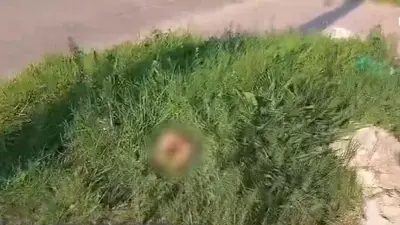 HALLAN UN CRÁNEO EN BARRIO SAUSALITO