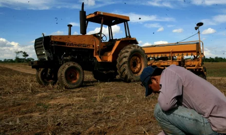 ORIENTE Y OCCIDENTE RECIBEN APENAS 23% DEL DIÉSEL PROMETIDO PARA LA CAMPAÑA DE VERANO