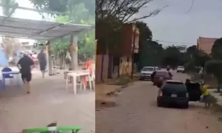 DOCE SUJETOS ARMADOS ROBAN DINERO Y JOYAS DE UN DOMICILIO DEL PLAN 3000