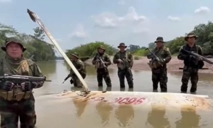 NARCOAVIONETA BOLIVIANA CAE EN EL RÍO PALCAZÚ DE PERÚ