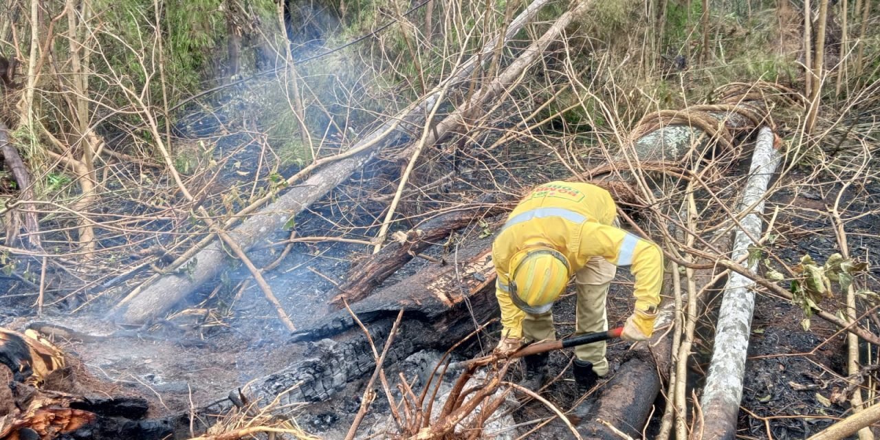SANTA CRUZ ENFRENTA 13 INCENDIOS ACTIVOS EN SEIS MUNICIPIOS