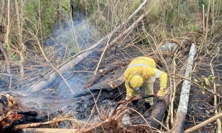 SANTA CRUZ ENFRENTA 13 INCENDIOS ACTIVOS EN SEIS MUNICIPIOS