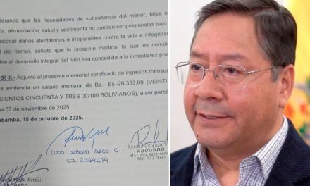 ARCE OFRECE A BRENDA LAFUENTE EL 10% DE SU SALARIO COMO ASISTENCIA FAMILIAR