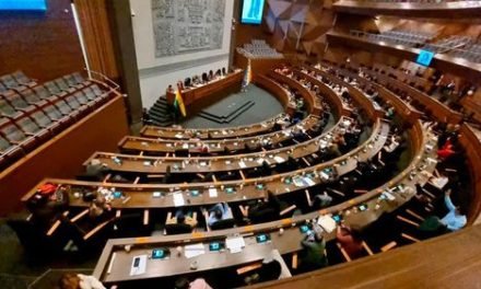 SENADO APRUEBA LEY PARA PROTEGER A HIJOS HUÉRFANOS DE VÍCTIMAS DE FEMINICIDIO