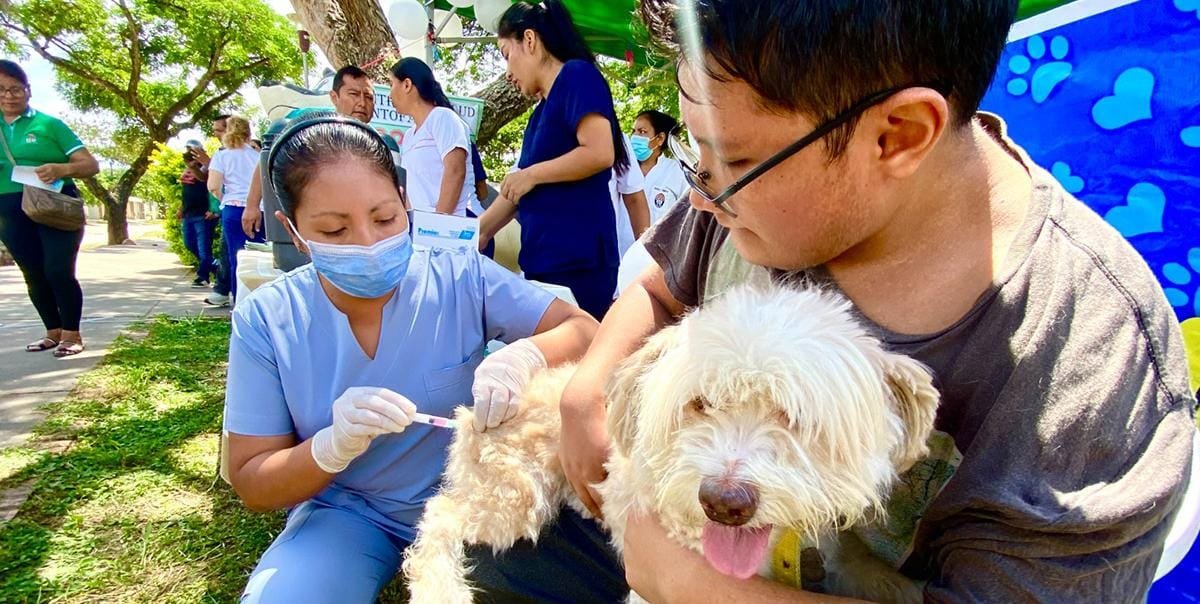 MASIVA AFLUENCIA EN EL SEGUNDO DÍA DE VACUNACIÓN CONTRA LA RABIA