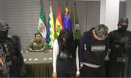 INFANTICIDIO EN LA GUARDIA: LA AUTORA HABÍA PLANIFICADO ATACAR A LA MADRE DE LAS VÍCTIMAS