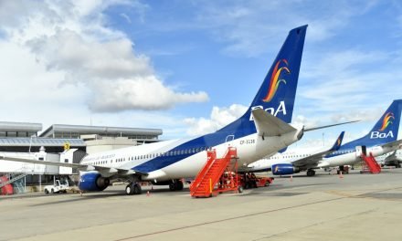 MINISTRO ZAMORA ORDENA AUDITORÍA INTEGRAL A BOA