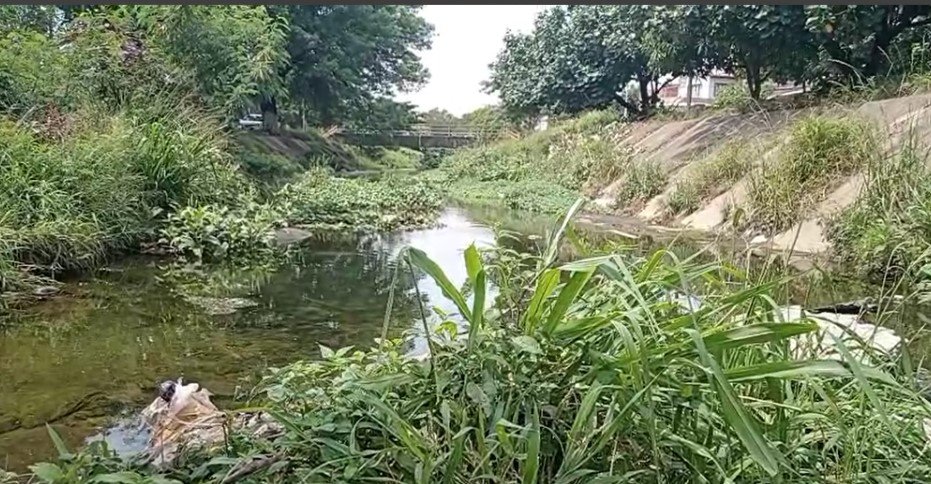 ABANDONO DEL CANAL PEDRO VÉLEZ PREOCUPA A VECINOS DE LA RADIAL 26