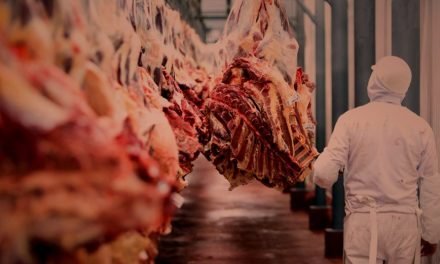 FRIGORÍFICO MUNICIPAL VENDERÁ CARNE DE SEGUNDA A BS 37 POR KILO