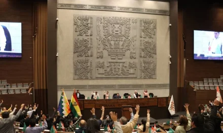 DIPUTADOS DAN LUZ VERDE A LA LEY QUE ACELERA LA RENOVACIÓN DEL TSE