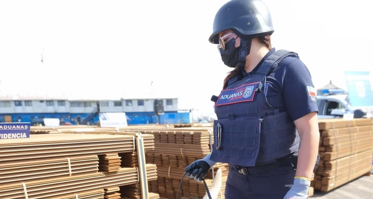 COCAÍNA EN MADERA: FISCALÍA REALIZA ALLANAMIENTOS Y DETIENE A RESPONSABLE LEGAL