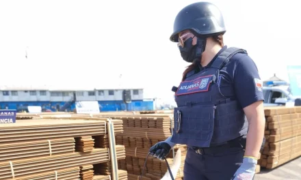 COCAÍNA EN MADERA: FISCALÍA REALIZA ALLANAMIENTOS Y DETIENE A RESPONSABLE LEGAL