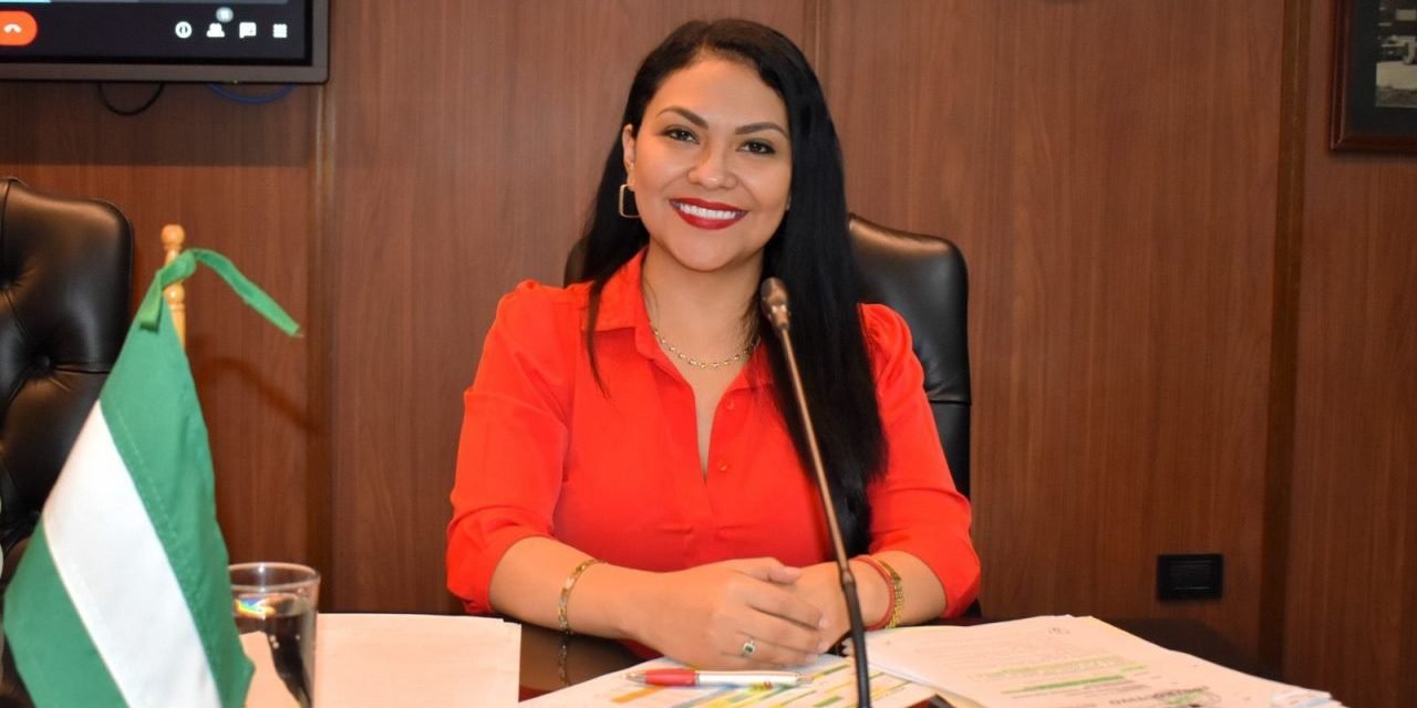 PRESIDENTA DEL TED SANTA CRUZ SE POSTULARÁ A VOCAL DEL TRIBUNAL SUPREMO ELECTORAL