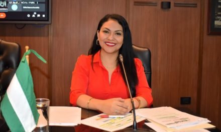 PRESIDENTA DEL TED SANTA CRUZ SE POSTULARÁ A VOCAL DEL TRIBUNAL SUPREMO ELECTORAL