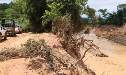 SANTA CRUZ SE DECLARA EN DESASTRE DEPARTAMENTAL POR INUNDACIONES Y CRECIDA DE RÍOS