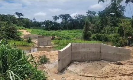 CONFLICTO EN URUBICHÁ: INTERCULTURALES CONSTRUYEN PUENTE SIN AUTORIZACIÓN Y DAÑAN EL MEDIO AMBIENTE